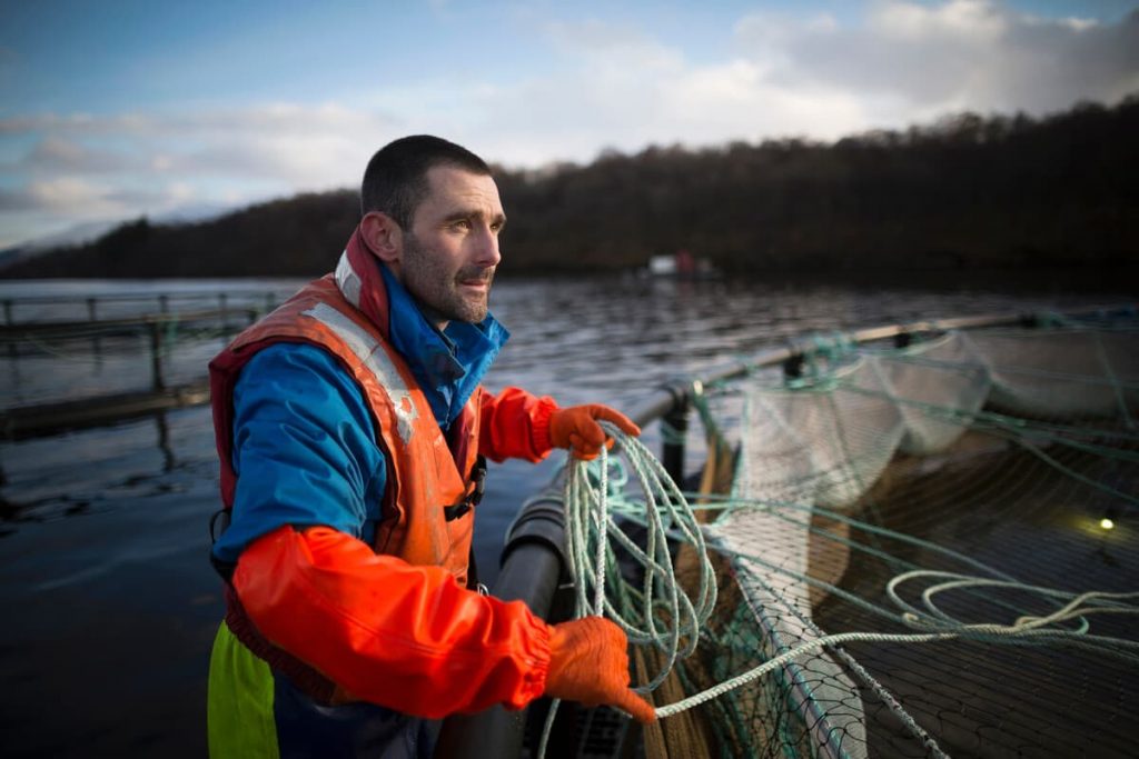 Worker on salmon farm in rural lake By imagesourcecurated